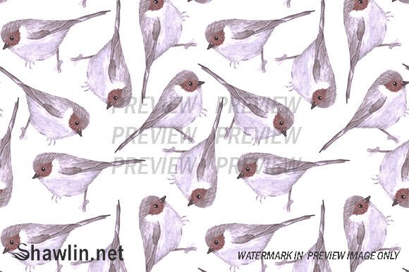 Bushtit Bird Background and Patterns