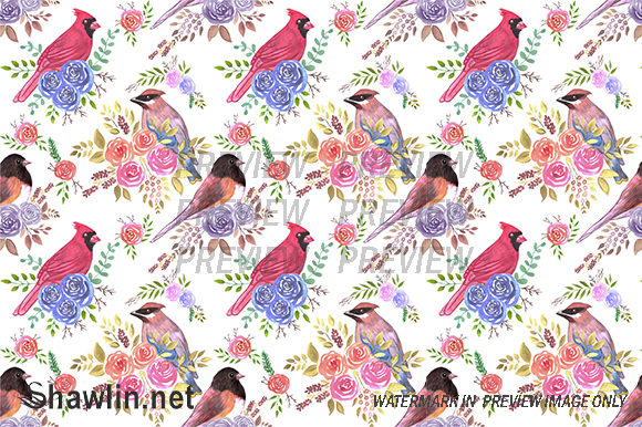 Cardinals Juncos and Waxwings Patterns