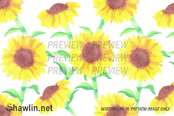 Helianthus Flowers Background and Patterns