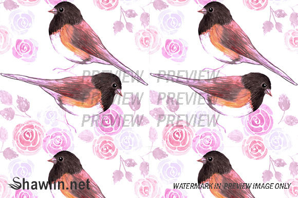 Juncos and Pink Roses Bird