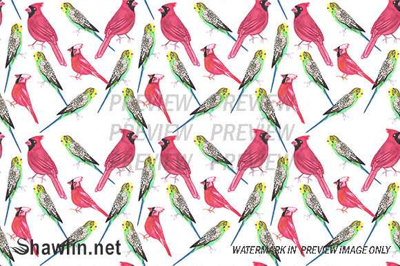 Northern Cardinal and Budgies Patterns