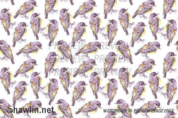 Yellow Robin Background and Patterns